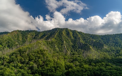 绿色的树在山上在白云和蓝天白天
